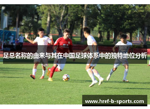 足总名称的由来与其在中国足球体系中的独特地位分析 足总名称的由来与其在中国足球体系中的独特地位分析