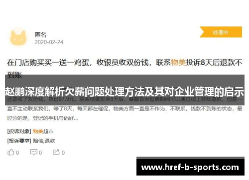 赵鹏深度解析欠薪问题处理方法及其对企业管理的启示 赵鹏深度解析欠薪问题处理方法及其对企业管理的启示