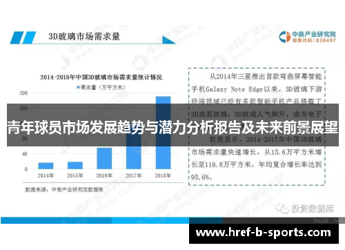 青年球员市场发展趋势与潜力分析报告及未来前景展望 青年球员市场发展趋势与潜力分析报告及未来前景展望
